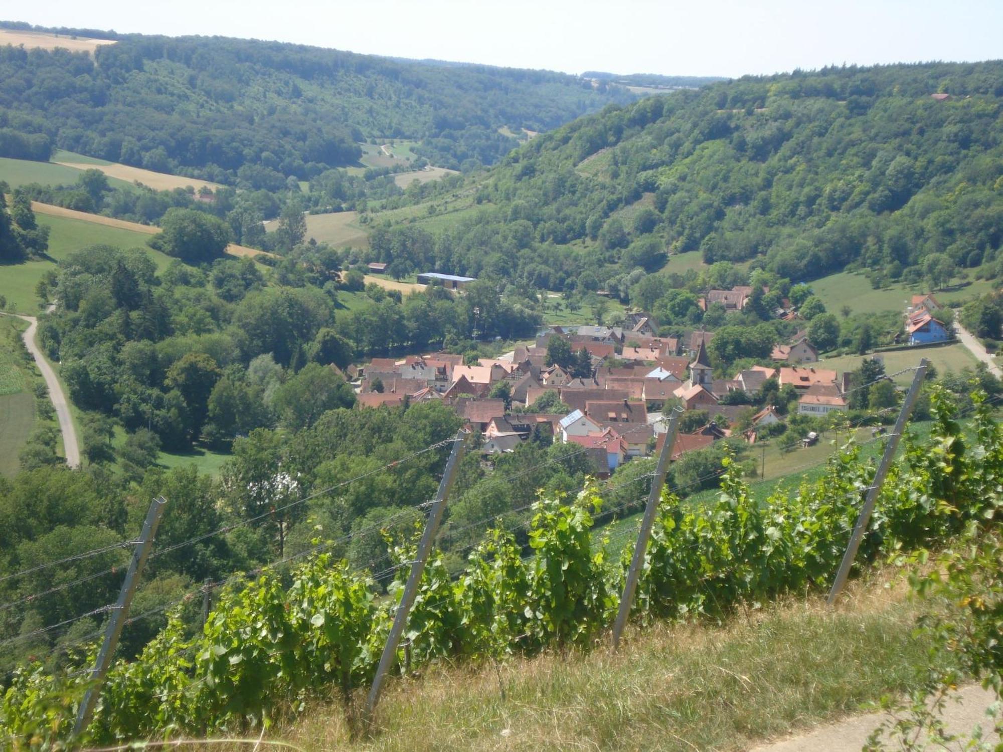 Landhaus Zum Falken Tauberzell Esterno foto